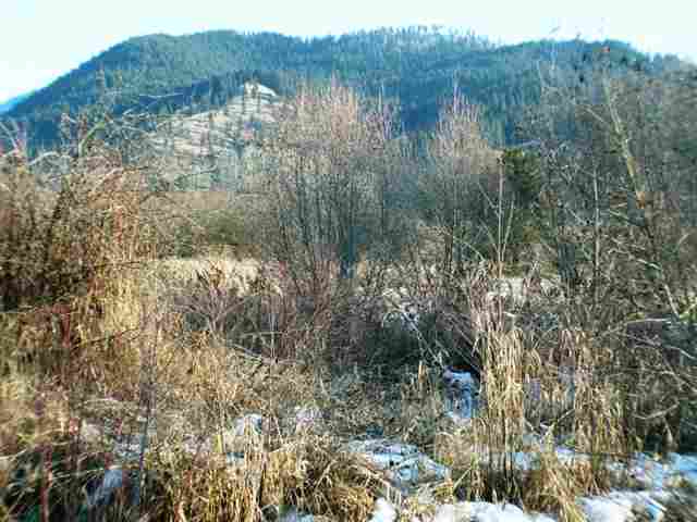 Tbd Skookum Creek Road Usk, WA 99180 - Photo 6 of 9