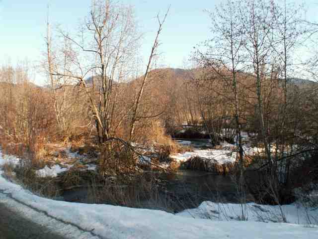 Tbd Skookum Creek Road Usk, WA 99180 - Photo 7 of 9