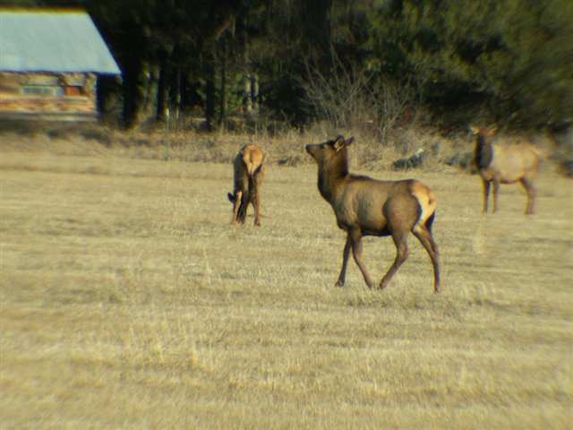 Tbd Skookum Creek Road Usk, WA 99180 - Photo 9 of 9