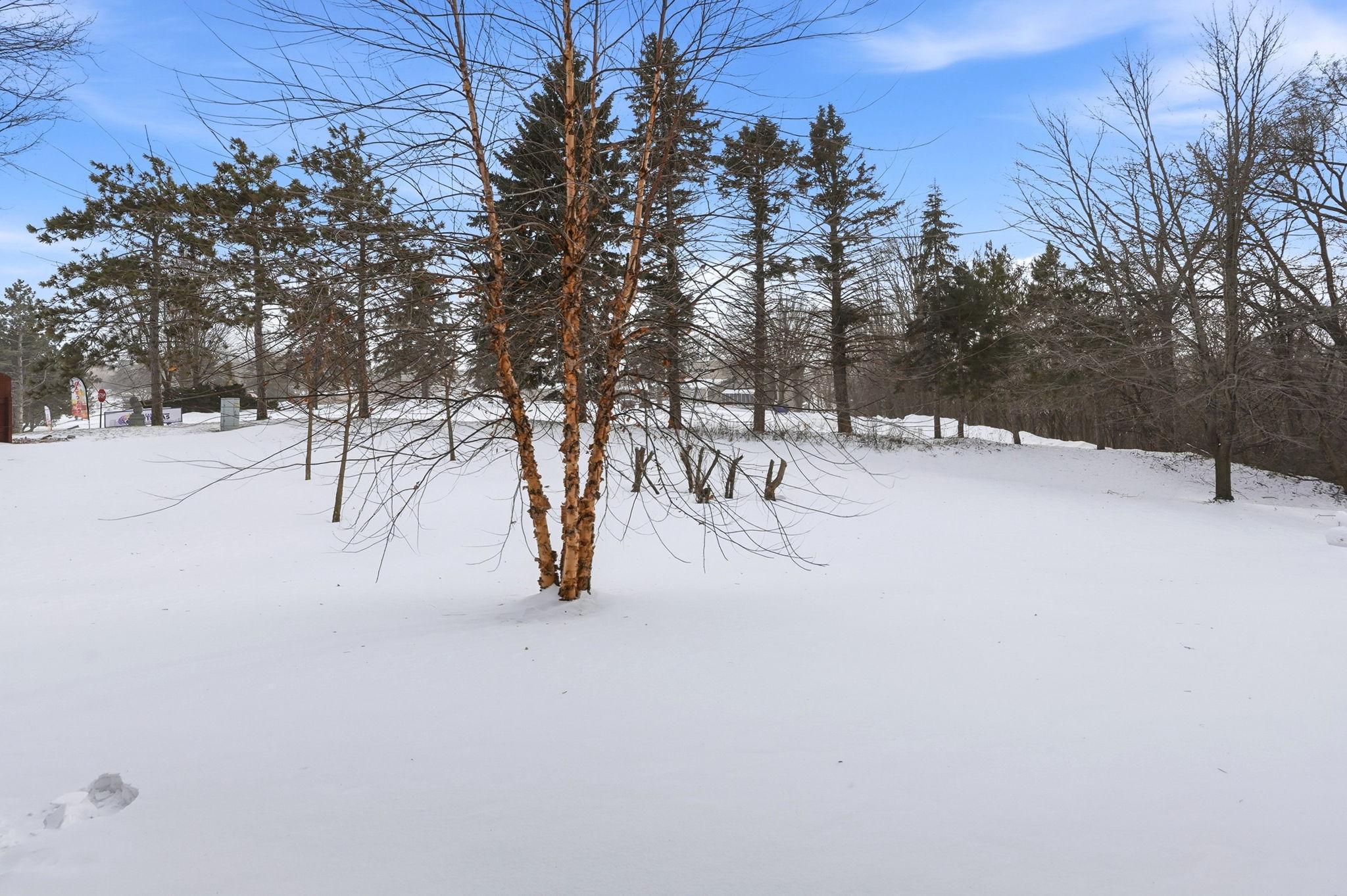 7290 Vista Court Eden Prairie, MN 55346 - Photo 20 of 20