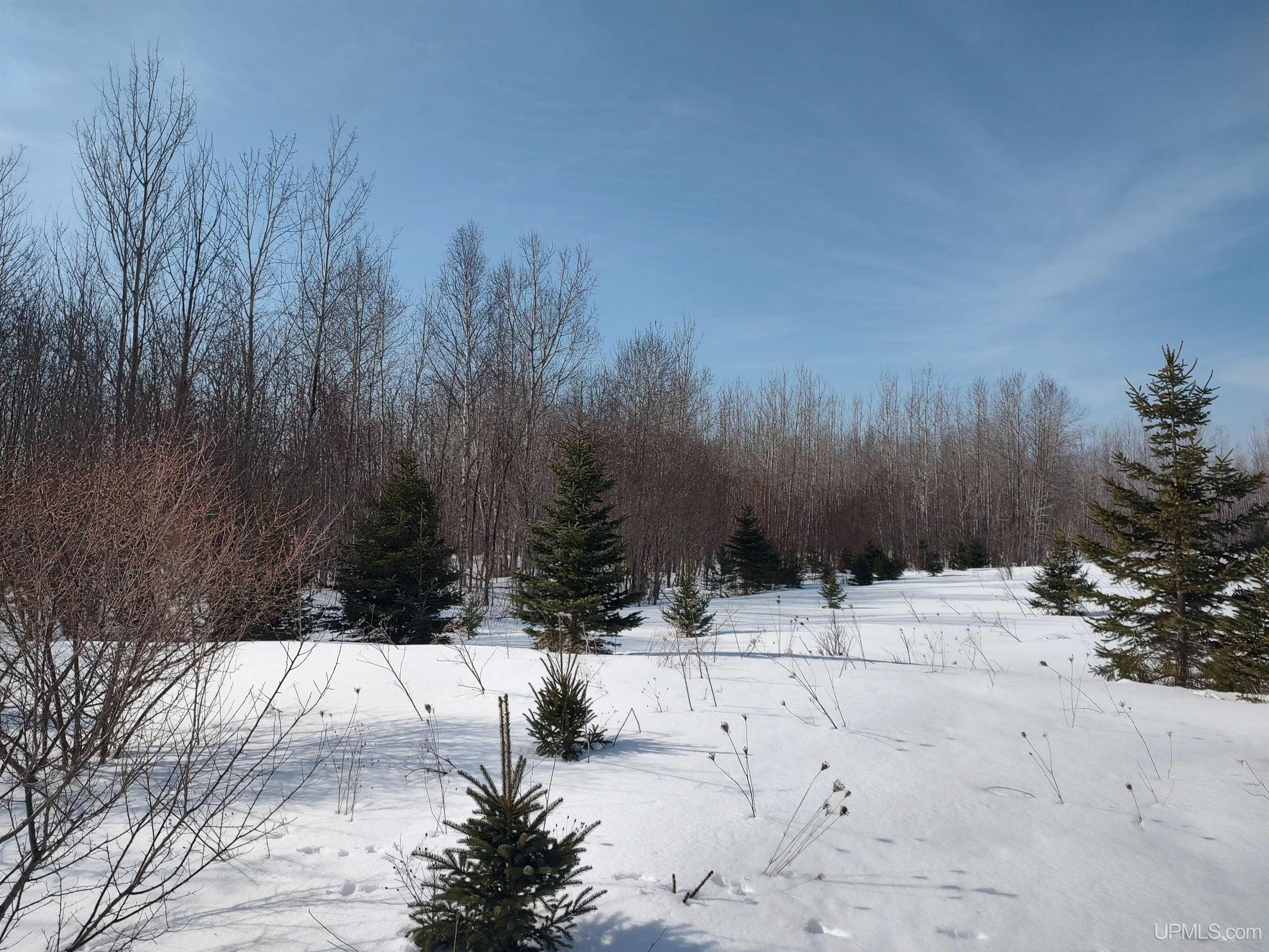 30-acres Parkington Road Gulliver, MI 49840 - Photo 15 of 31