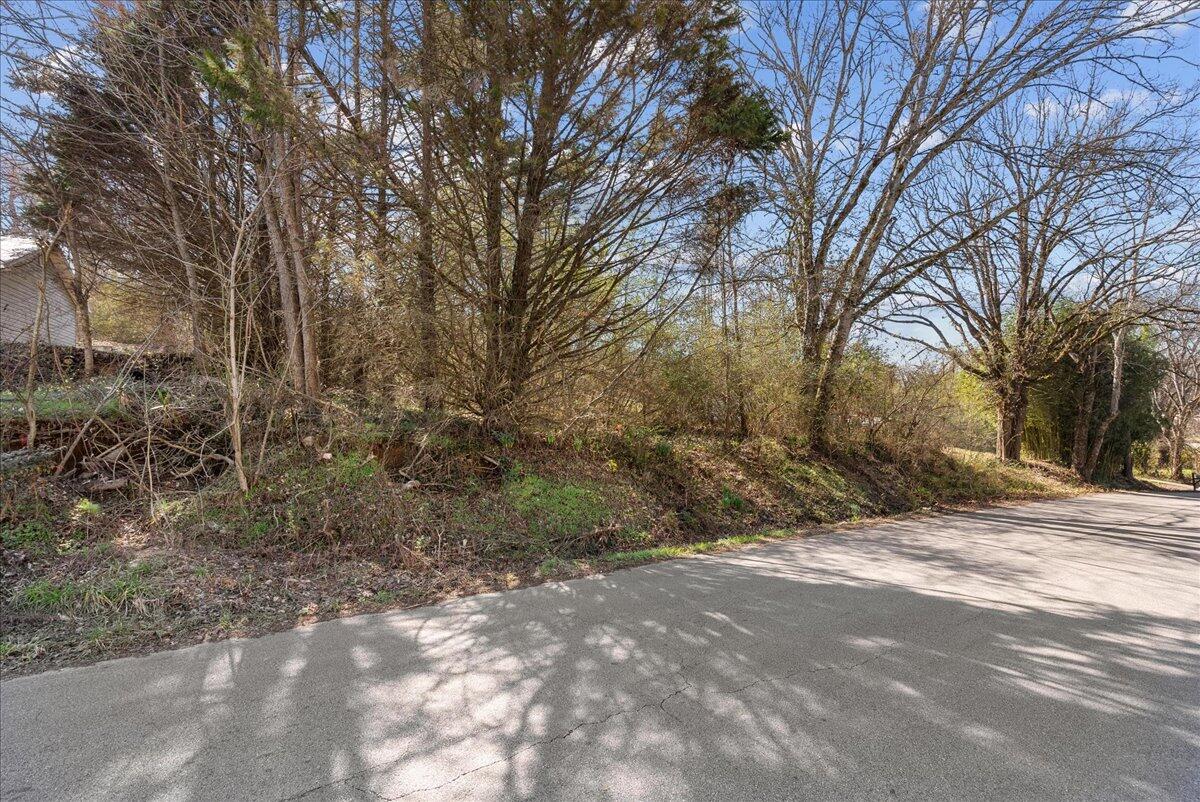 9059 Wooten Road Chattanooga, TN 37416 - Photo 9 of 11 7-DSC01019