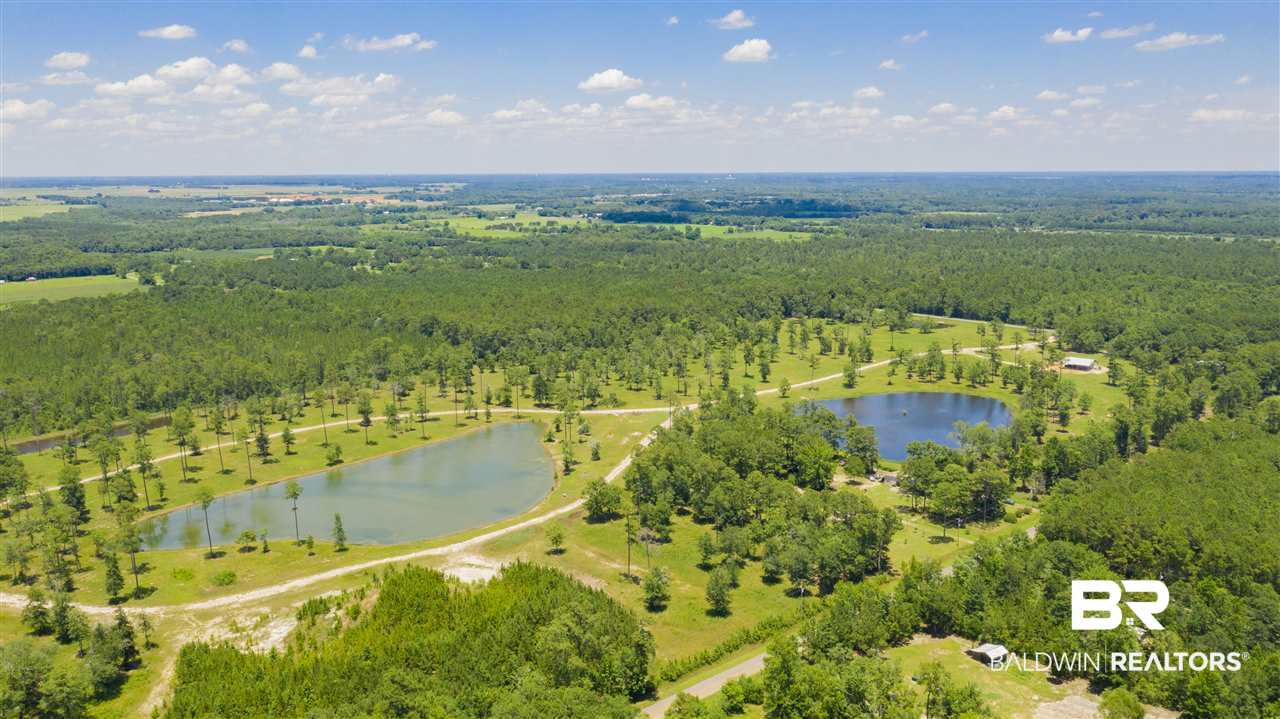 6119 Molsbee Road Bon Secour, AL 36511 - Photo 4 of 12