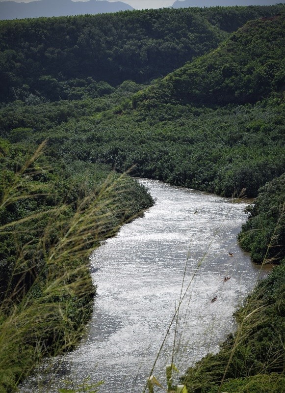 5645 Kuamoo Road Kapaa, HI 96746 - Photo 24 of 24 Gallery Image 24