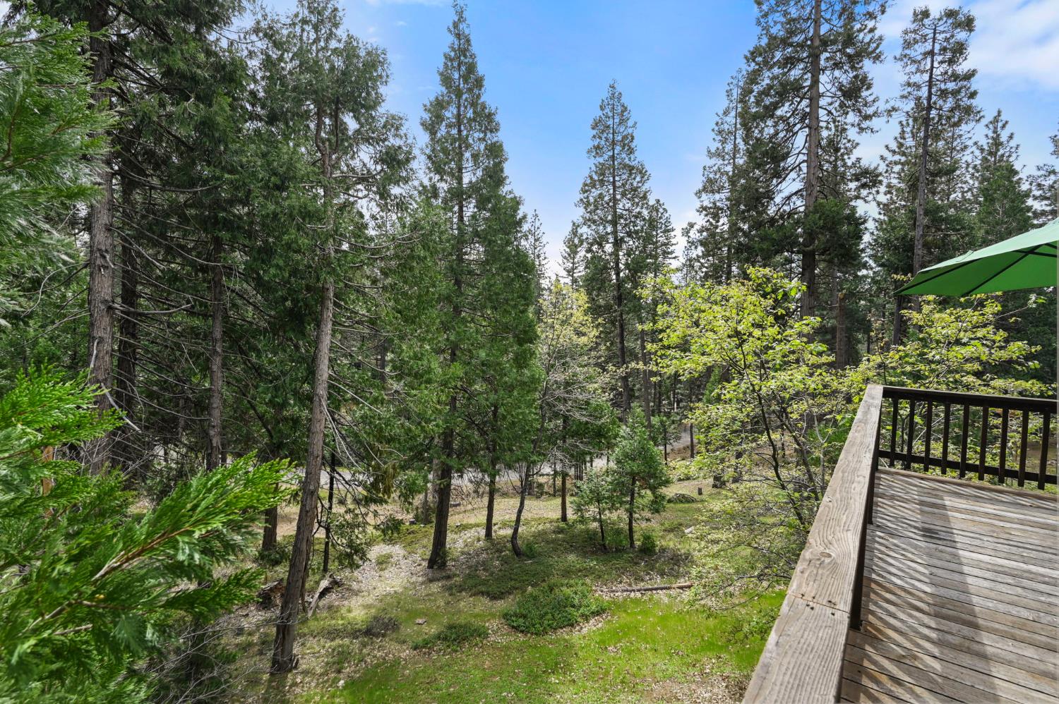 2271 Mustang Road Arnold, CA 95223 - Photo 28 of 45