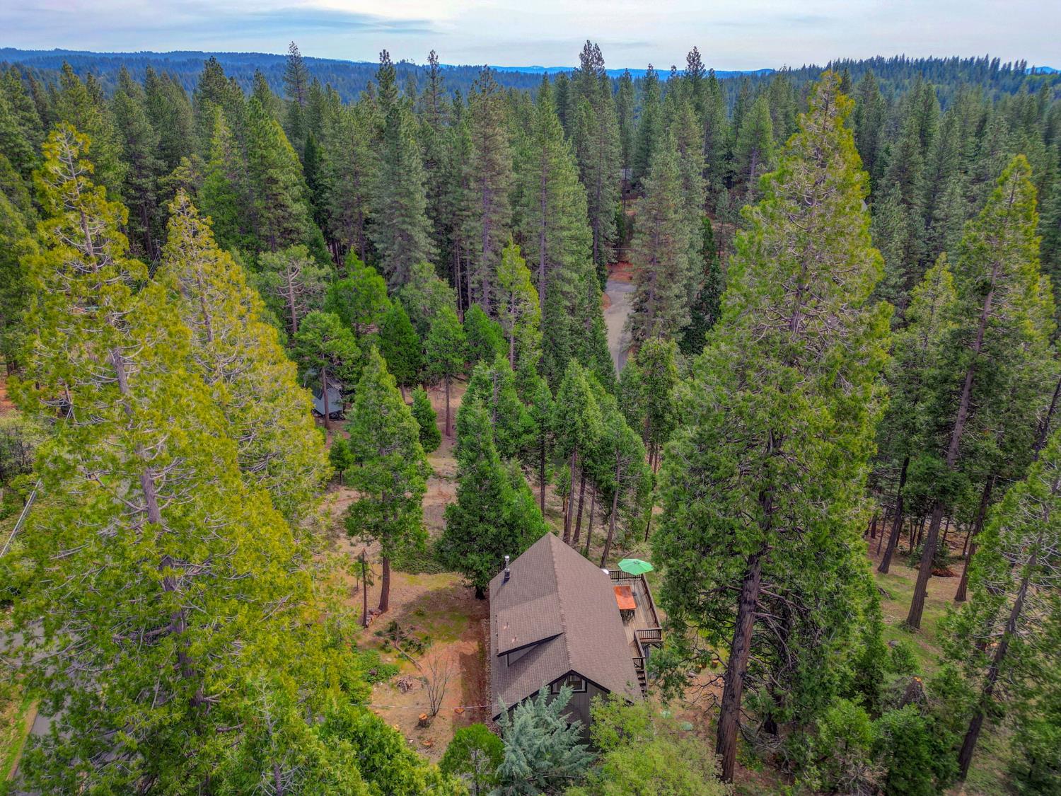 2271 Mustang Road Arnold, CA 95223 - Photo 36 of 45