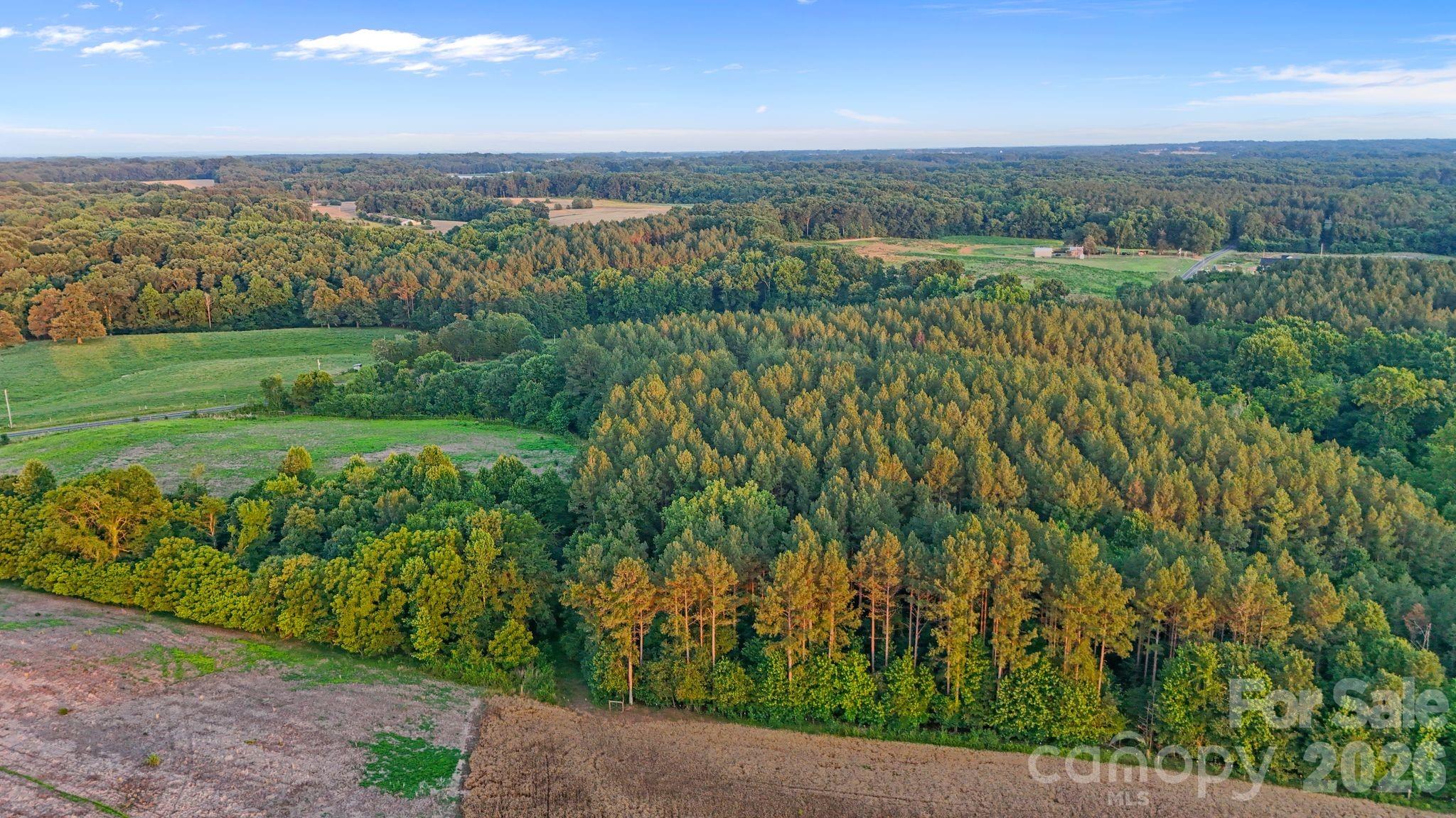 0 Lucy Short Cut Road, Unit 3 Marshville, NC 28103 - Photo 47 of 47