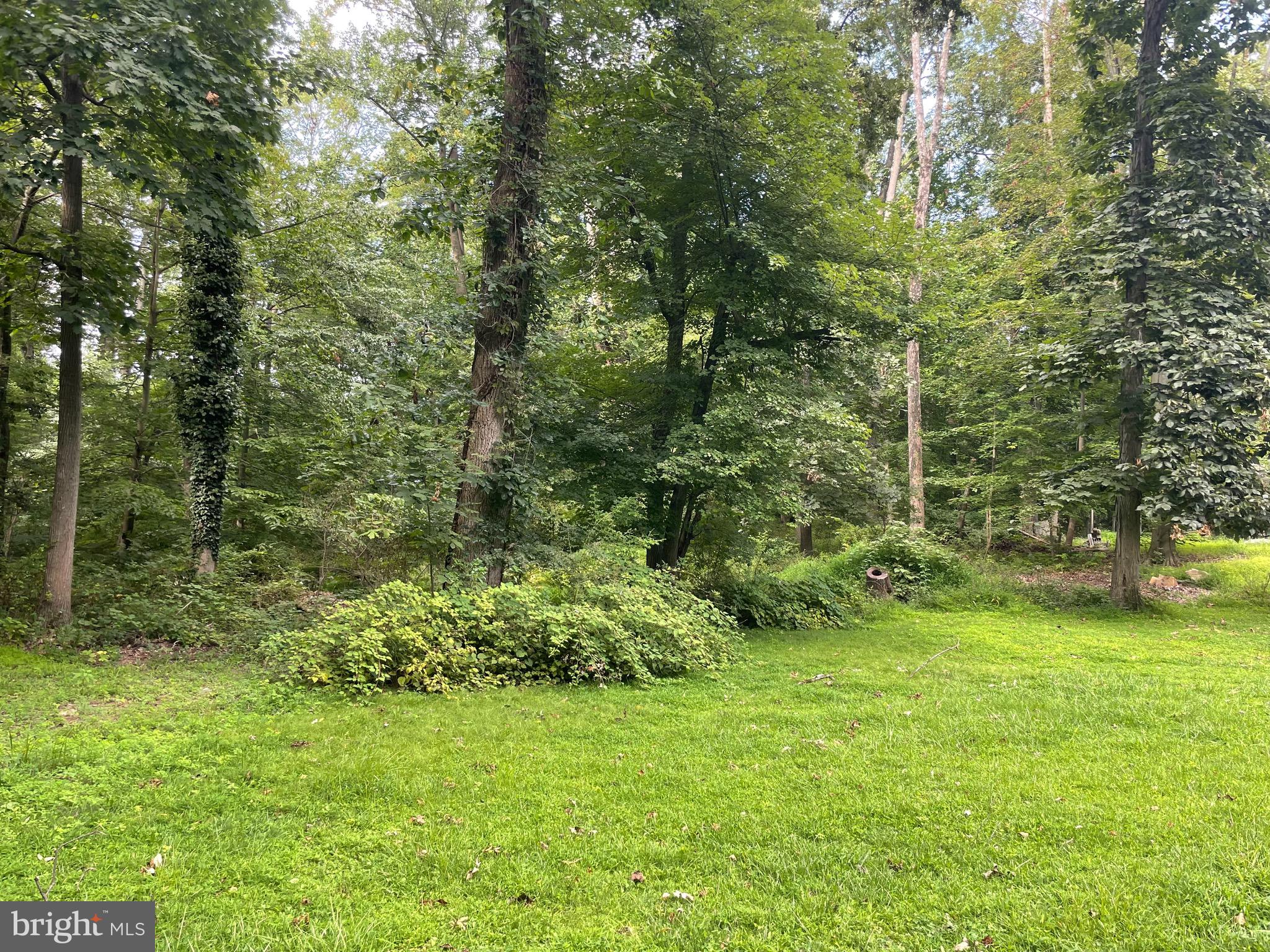 20 Crusher Road Hopewell, NJ 08525 - Photo 4 of 33 Gallery Image 4