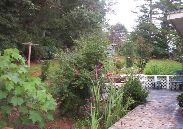 642 Robinson Bridge Road Central, SC 29630 - Photo 7 of 9 Gallery Image 7