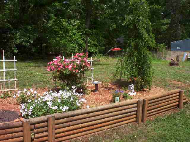 642 Robinson Bridge Road Central, SC 29630 - Photo 8 of 9 Gallery Image 8