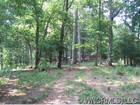 0 Snelson Road Alexander, NC 28701 - Photo 3 of 8 Gallery Image 3