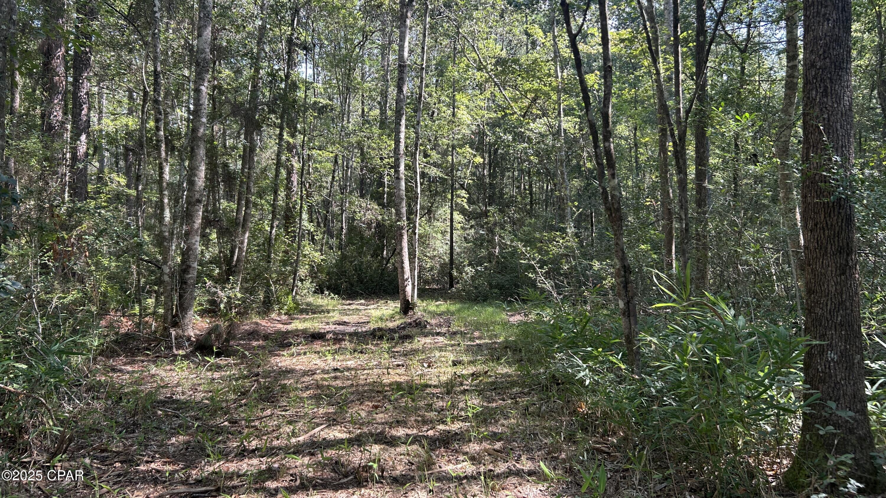 0 Commander Road Westville, FL 32464 - Photo 9 of 26