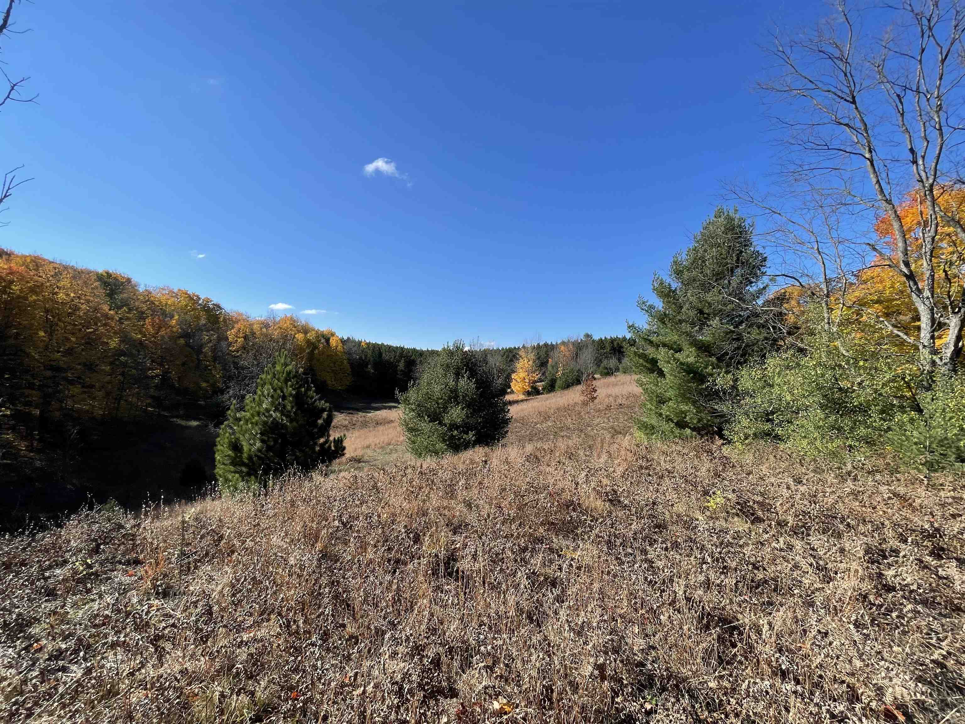 Lot 3 Dockery Road East Williamsburg, MI 49690 - Photo 2 of 6