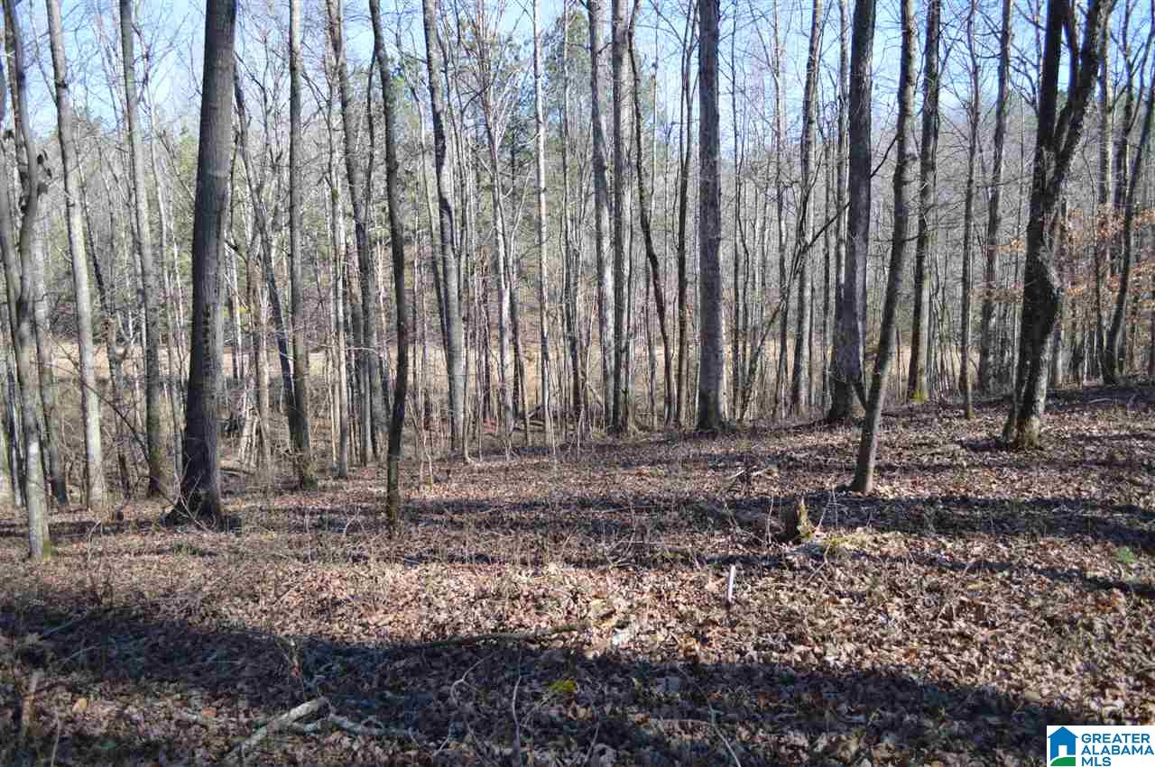 1900 Sanie Road Odenville, AL 35120 - Photo 34 of 48