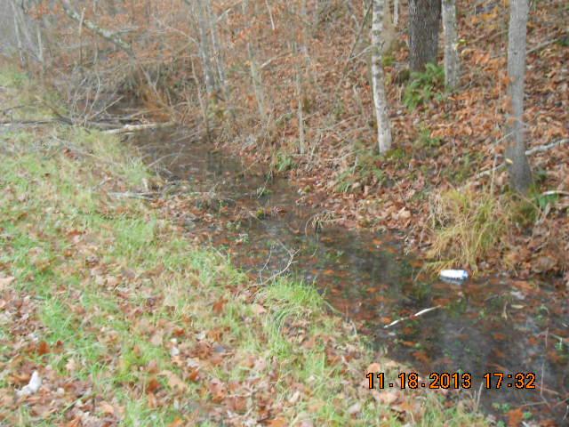 0 Tottys Bend Road Duck River, TN 38454 - Photo 1 of 6 SPRING BRANCH ALONG RD