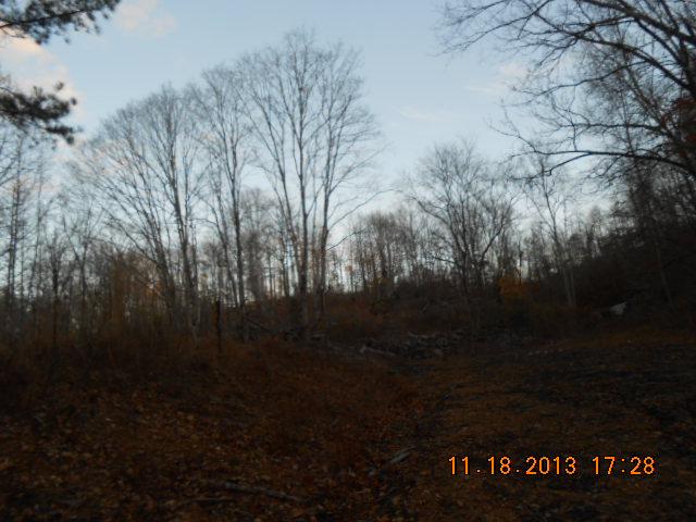 0 Tottys Bend Road Duck River, TN 38454 - Photo 2 of 6 A SPRING BEHIND OLD HOUSE