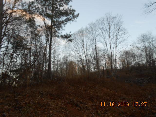 0 Tottys Bend Road Duck River, TN 38454 - Photo 3 of 6 A PRIVATE BUILDING AREA UP ON THE RIDGE