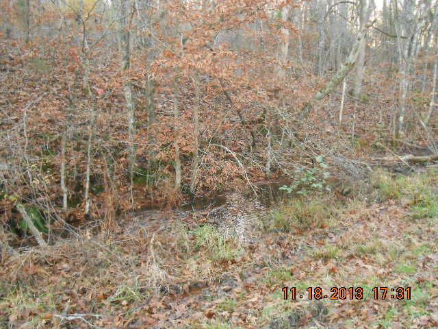 0 Tottys Bend Road Duck River, TN 38454 - Photo 4 of 6 SPRING BRANCH ALONG RD