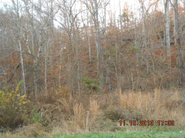 0 Tottys Bend Road Duck River, TN 38454 - Photo 6 of 6 ACROSS RD, VACANT ACRAGE