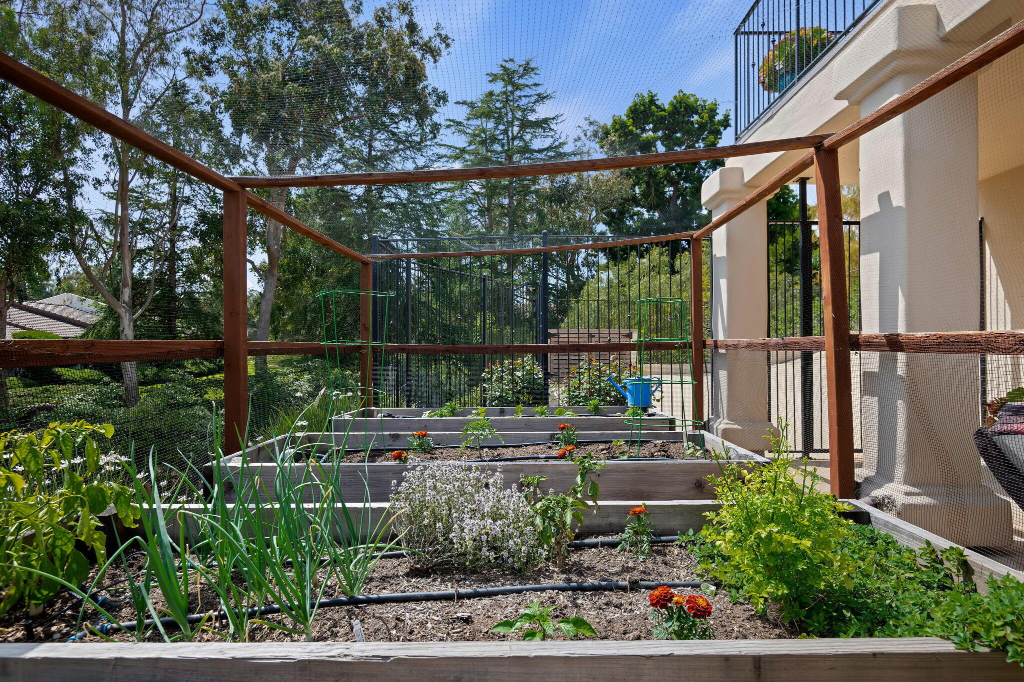 855 Miramonte Drive Santa Barbara, CA 93109 - Photo 54 of 73 80 - Garden