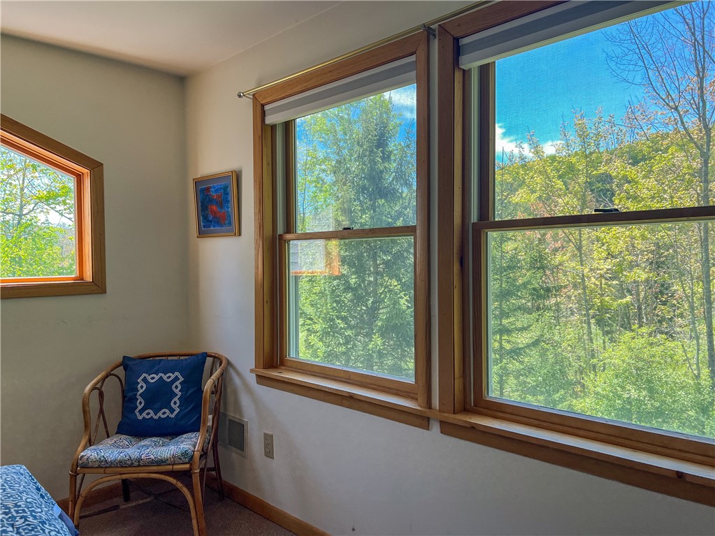 137 Charles Morse Road Denver, NY 12421 - Photo 27 of 46