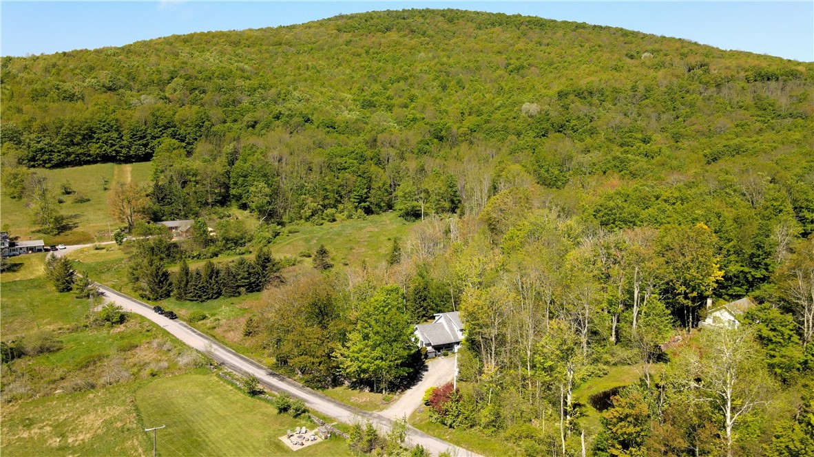 137 Charles Morse Road Denver, NY 12421 - Photo 3 of 46