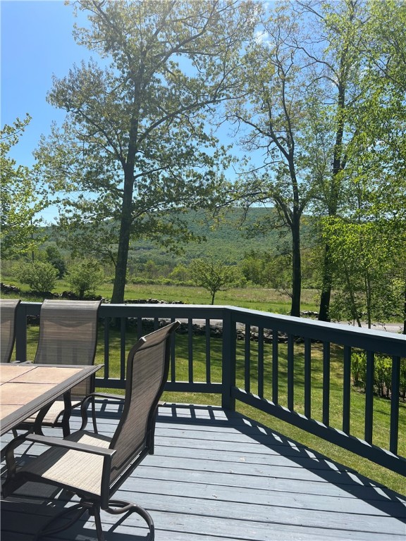 137 Charles Morse Road Denver, NY 12421 - Photo 38 of 46