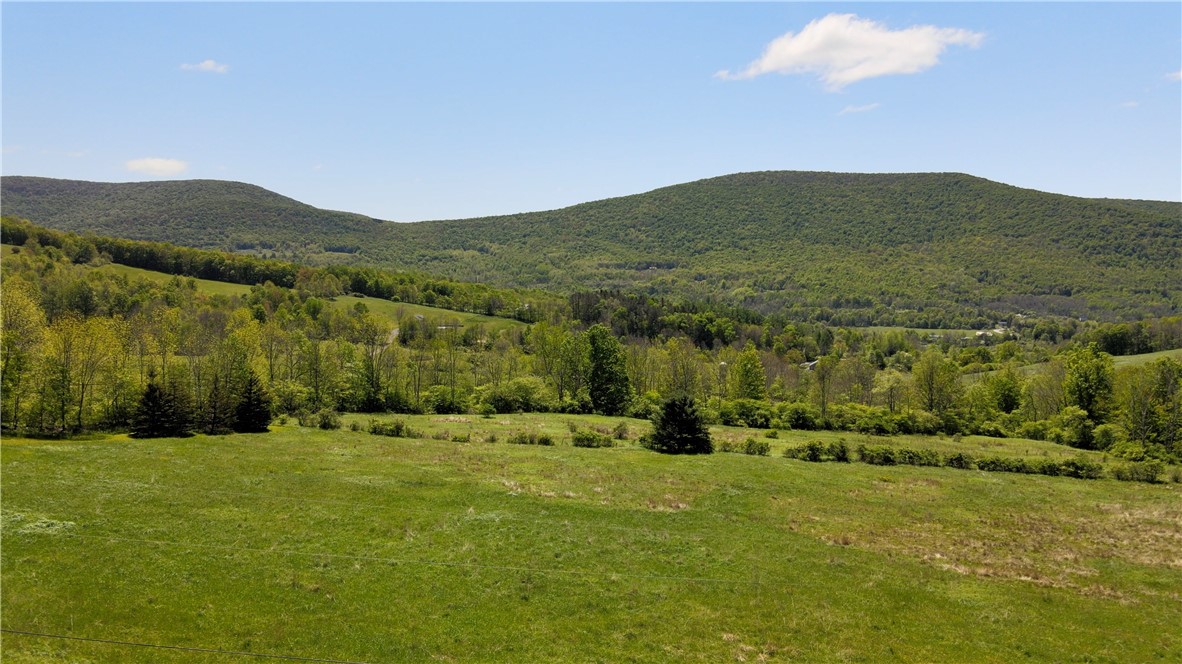 137 Charles Morse Road Denver, NY 12421 - Photo 4 of 46