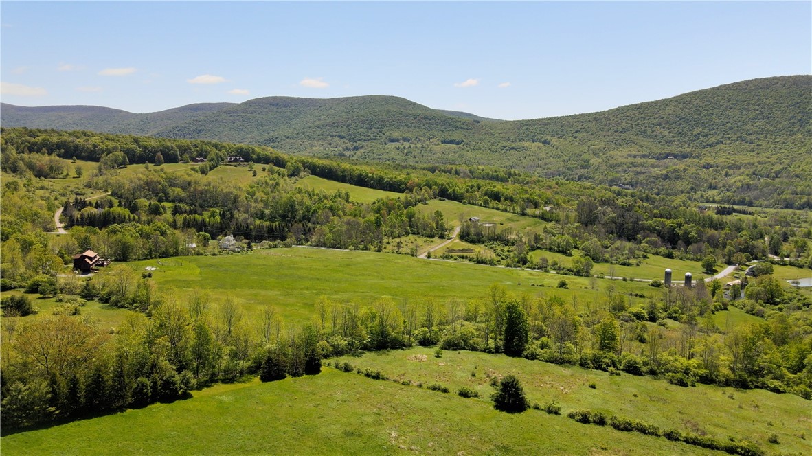 137 Charles Morse Road Denver, NY 12421 - Photo 43 of 46