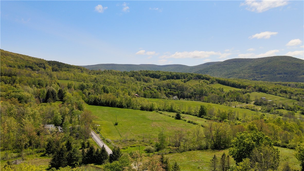 137 Charles Morse Road Denver, NY 12421 - Photo 46 of 46