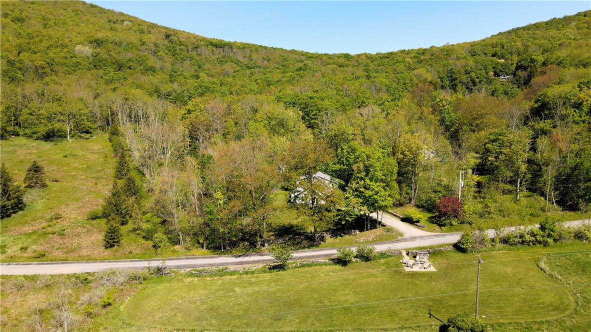 137 Charles Morse Road Denver, NY 12421 - Photo 5 of 46