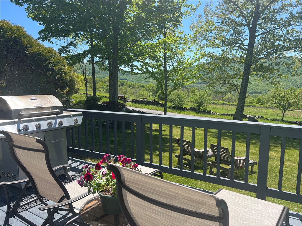 137 Charles Morse Road Denver, NY 12421 - Photo 6 of 46