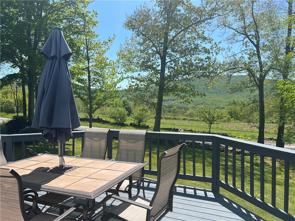 137 Charles Morse Road Denver, NY 12421 - Photo 7 of 46