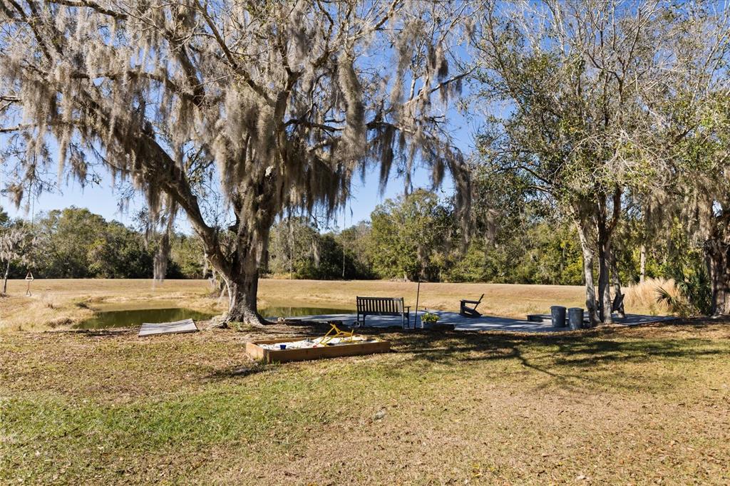 3865 Rabbit Run Road Wauchula, FL 33873 - Photo 33 of 43 a view of a yard with swimming pool