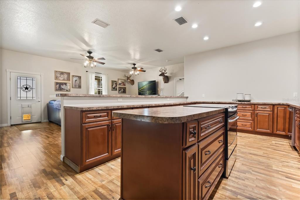 3865 Rabbit Run Road Wauchula, FL 33873 - Photo 9 of 43 a kitchen with stainless steel appliances granite countertop a stove and a wooden floors