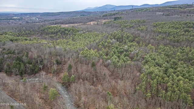 $249,000 | 4875-4879 Potter Hollow Road, Preston Hollow, NY 12469