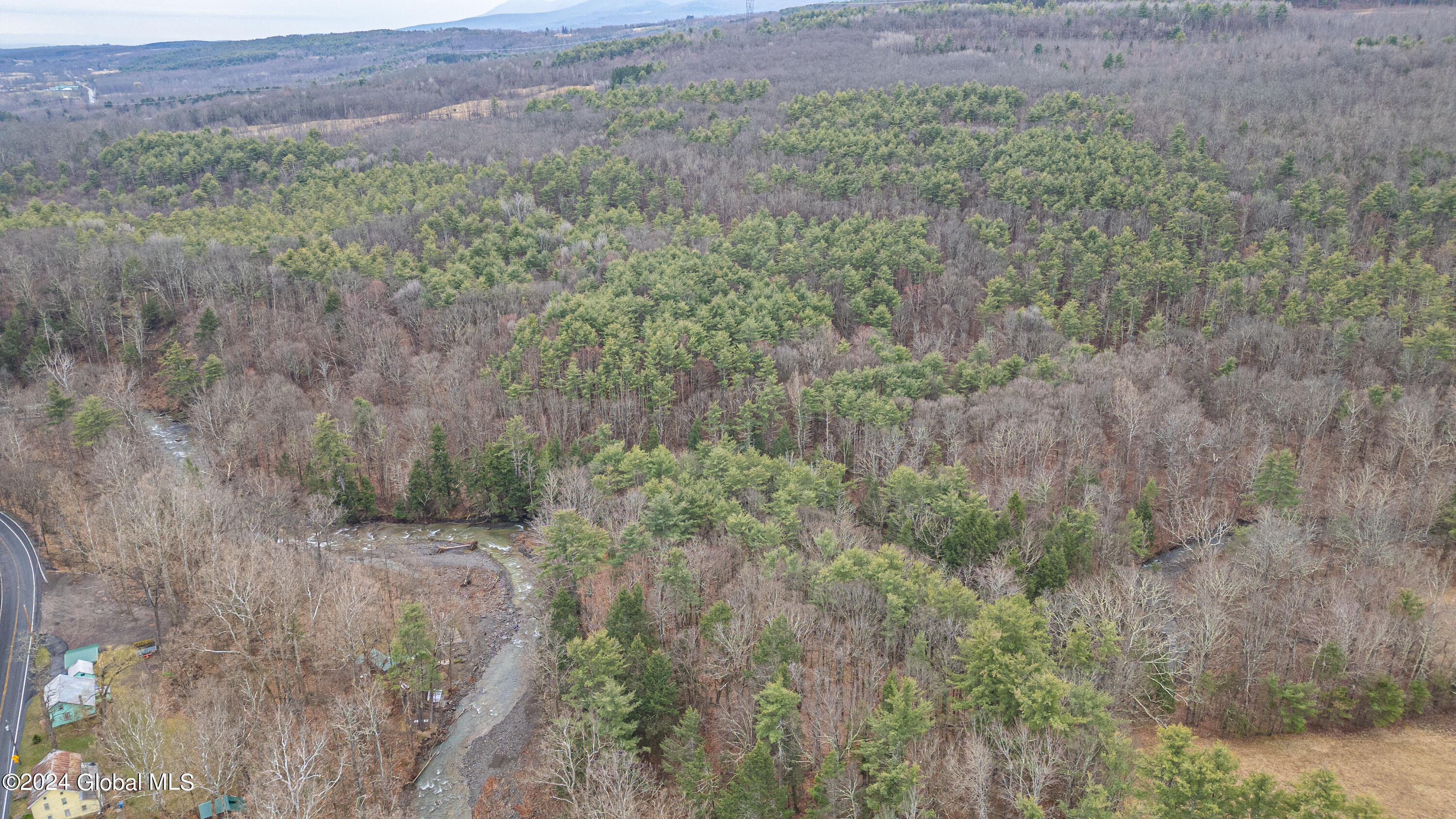 4875-4879 Potter Hollow Road Preston Hollow, NY 12469 - Photo 3 of 9 0 Air Photo 12