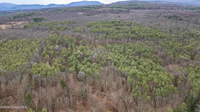 $249,000 | 4875-4879 Potter Hollow Road, Preston Hollow, NY 12469