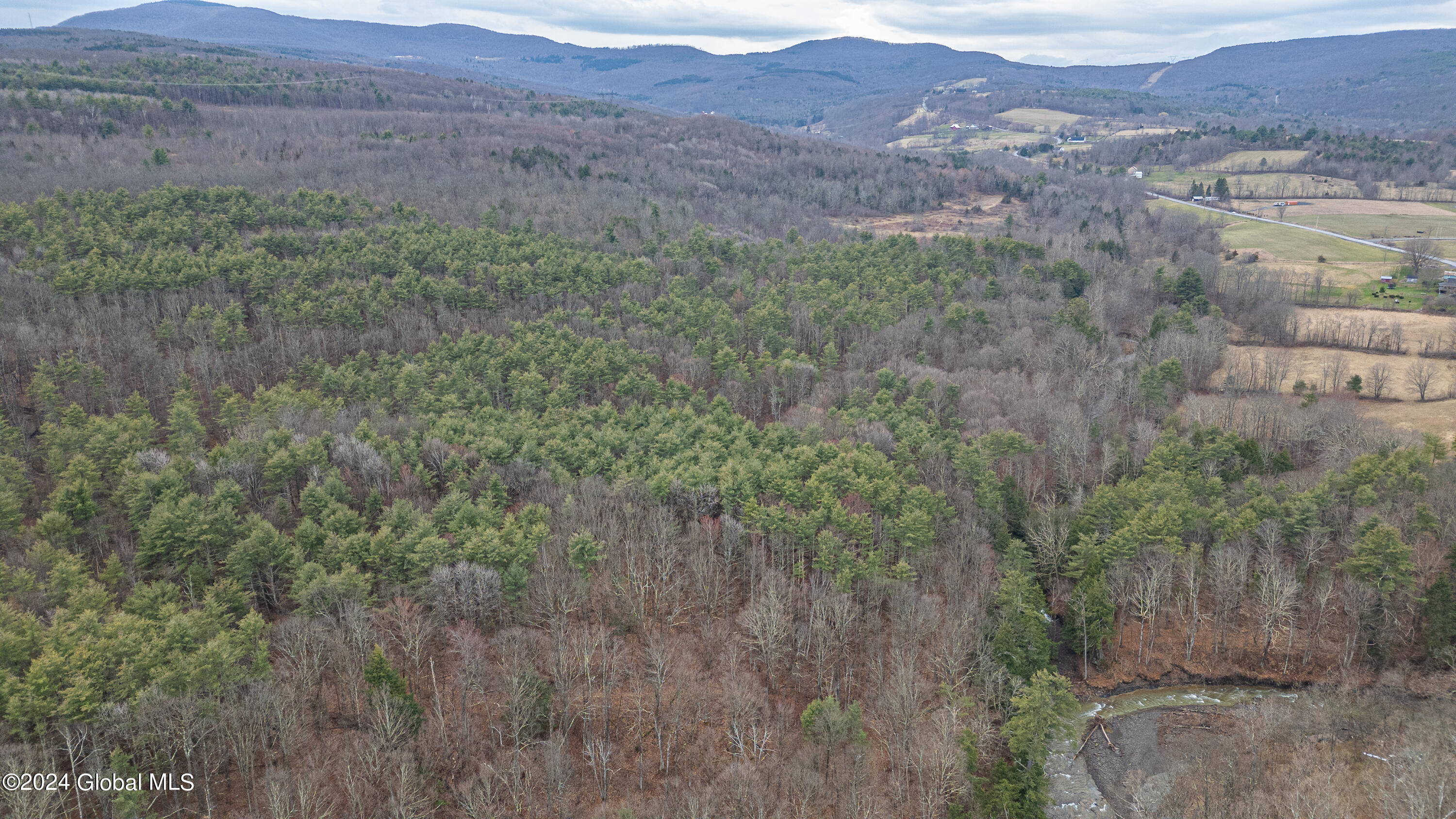 4875-4879 Potter Hollow Road Preston Hollow, NY 12469 - Photo 5 of 9 0 Air Photo 15