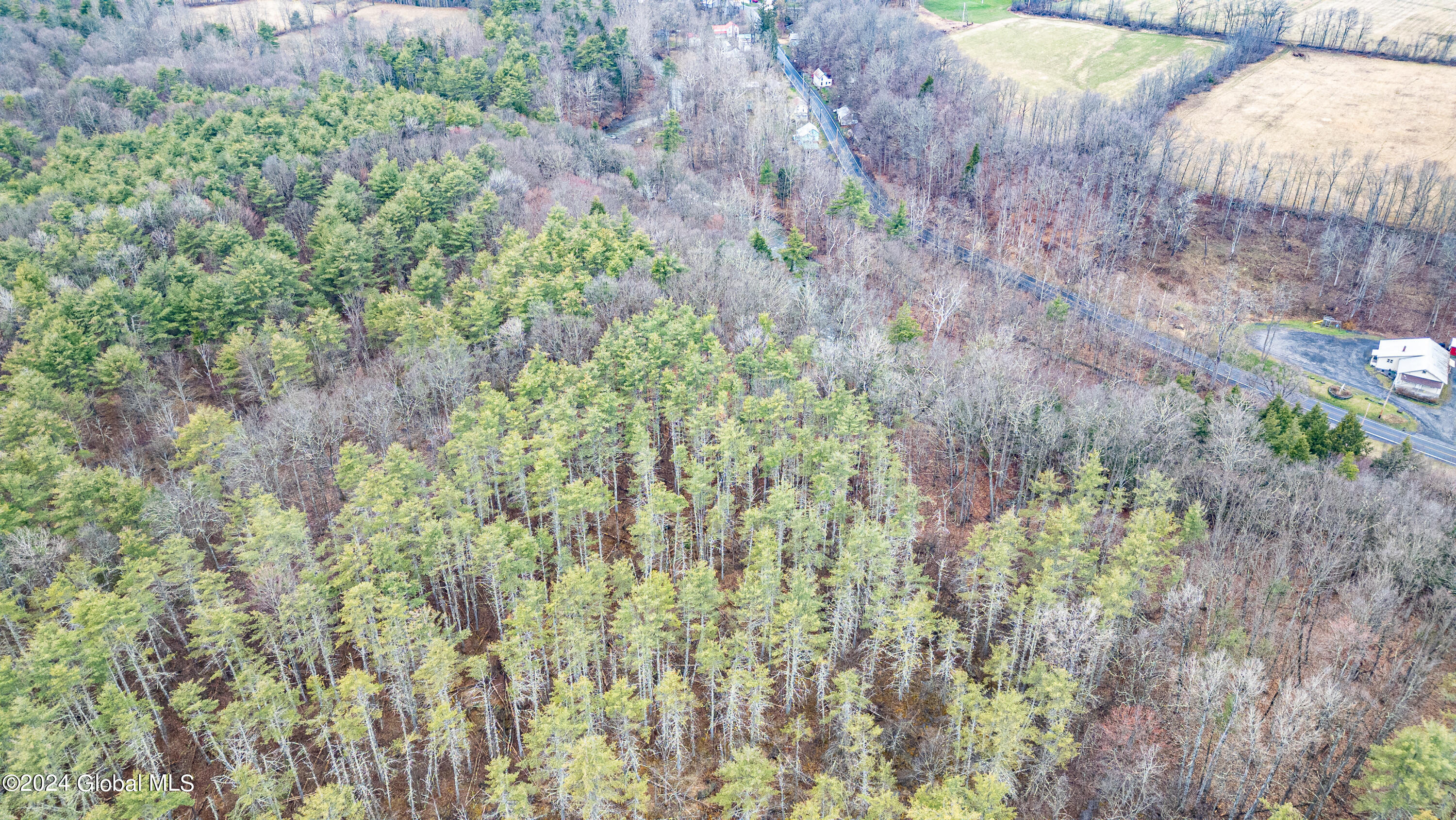 4875-4879 Potter Hollow Road Preston Hollow, NY 12469 - Photo 6 of 9 0 Air Photo 16