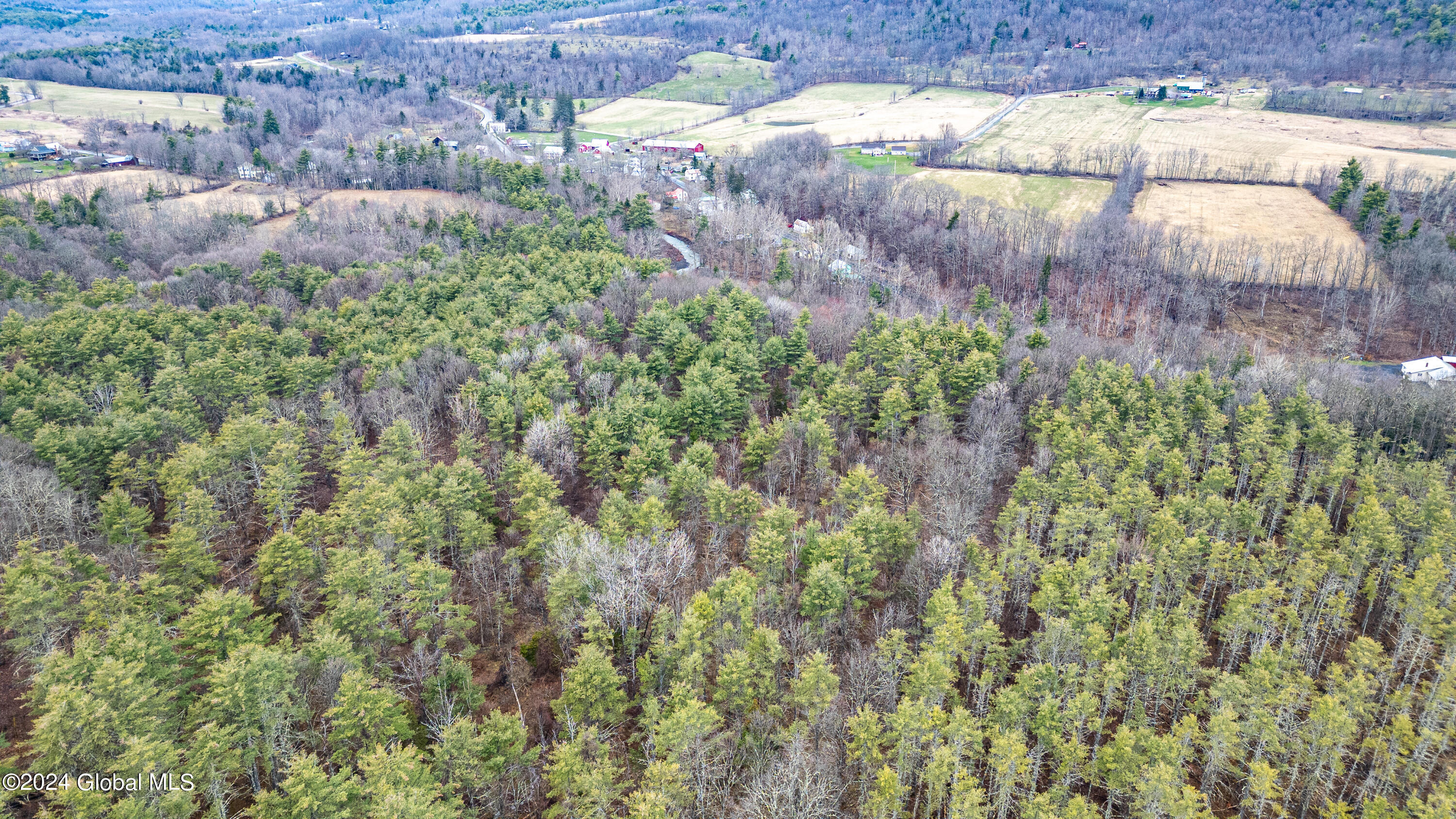 4875-4879 Potter Hollow Road Preston Hollow, NY 12469 - Photo 7 of 9 0 Air Photo 17