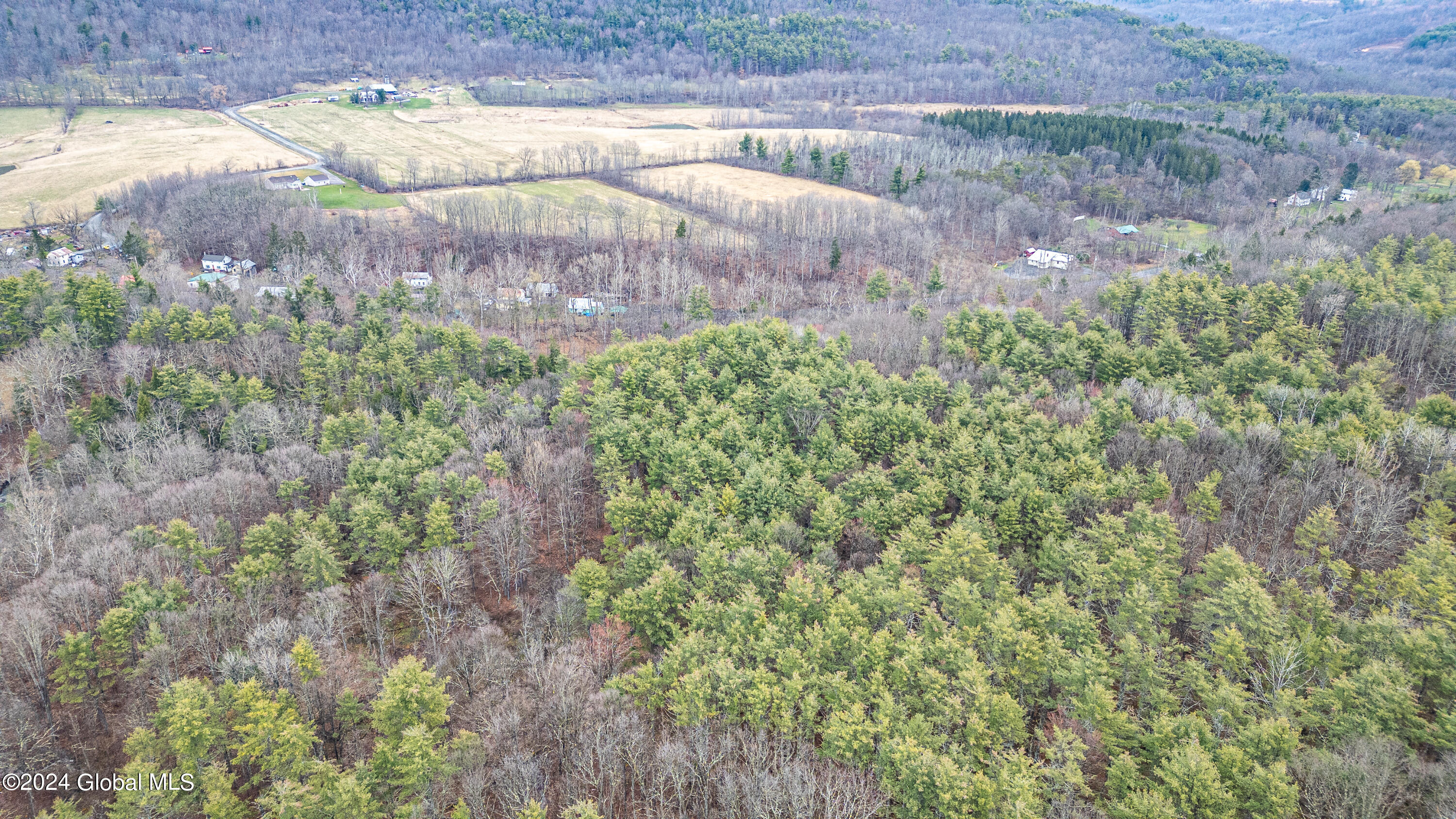 4875-4879 Potter Hollow Road Preston Hollow, NY 12469 - Photo 8 of 9 0 Air Photo 18