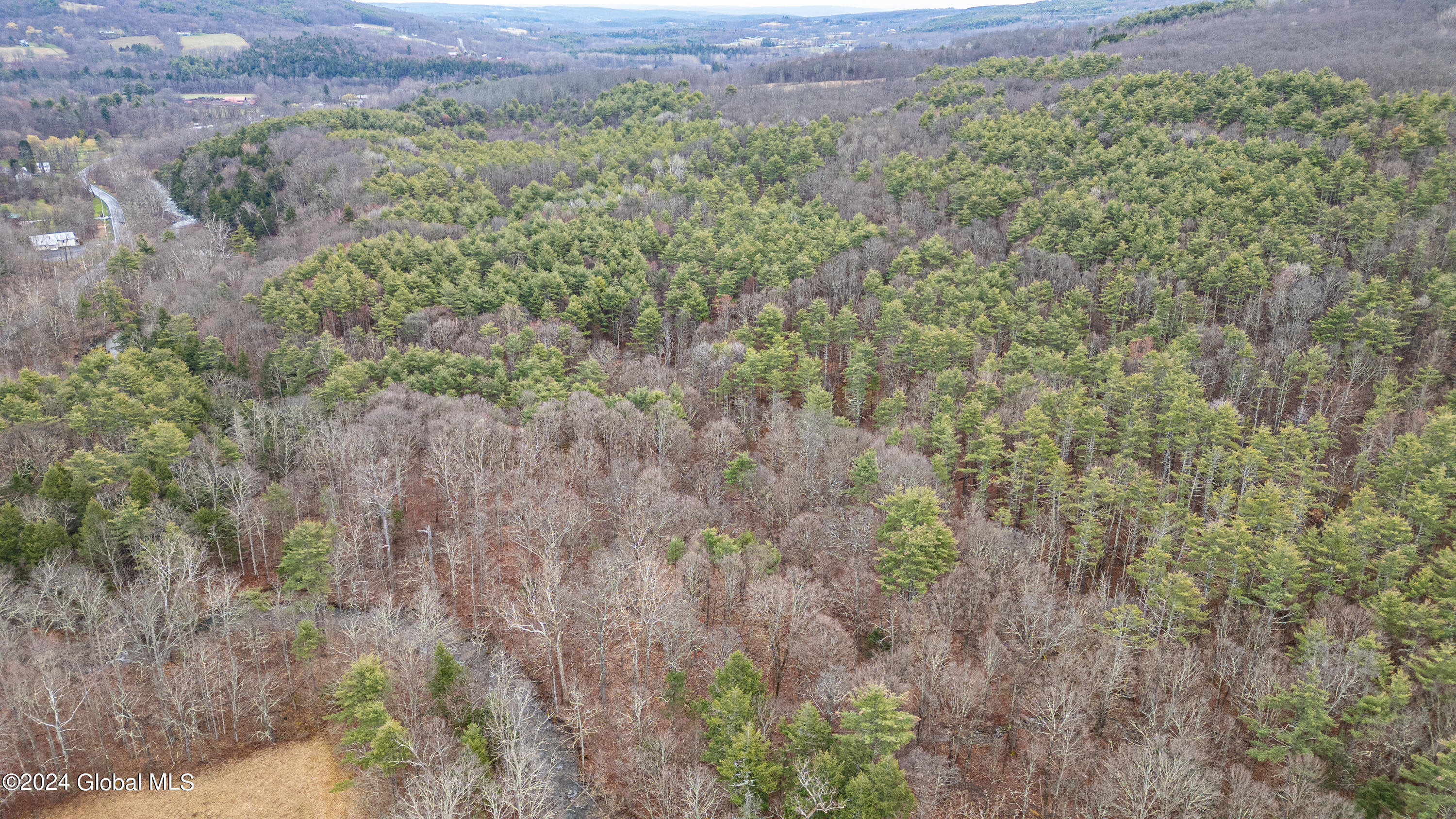 4875-4879 Potter Hollow Road Preston Hollow, NY 12469 - Photo 9 of 9 0 Air Photo 19