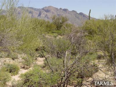 0 West Oasis Road Tucson, AZ 85742 - Photo 6 of 9