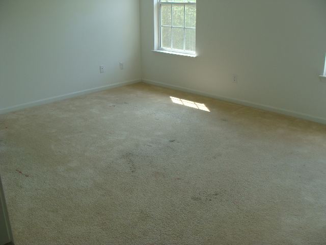 130 Catterick Way Fountain Inn, SC 29644 - Photo 5 of 5 Gallery Image 5