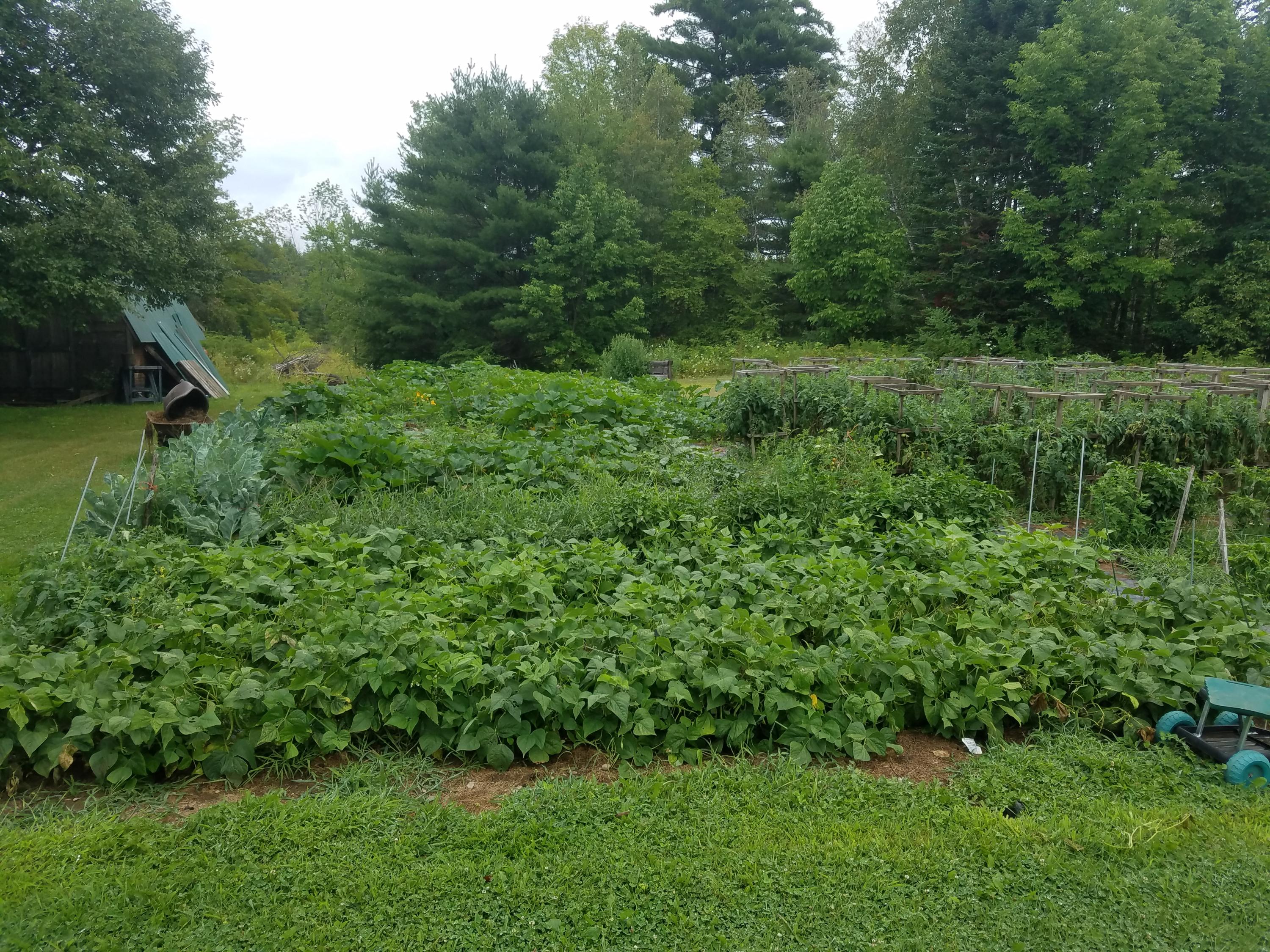 659 Unity Road Waterville, ME 04901 - Photo 7 of 34 7 (002)