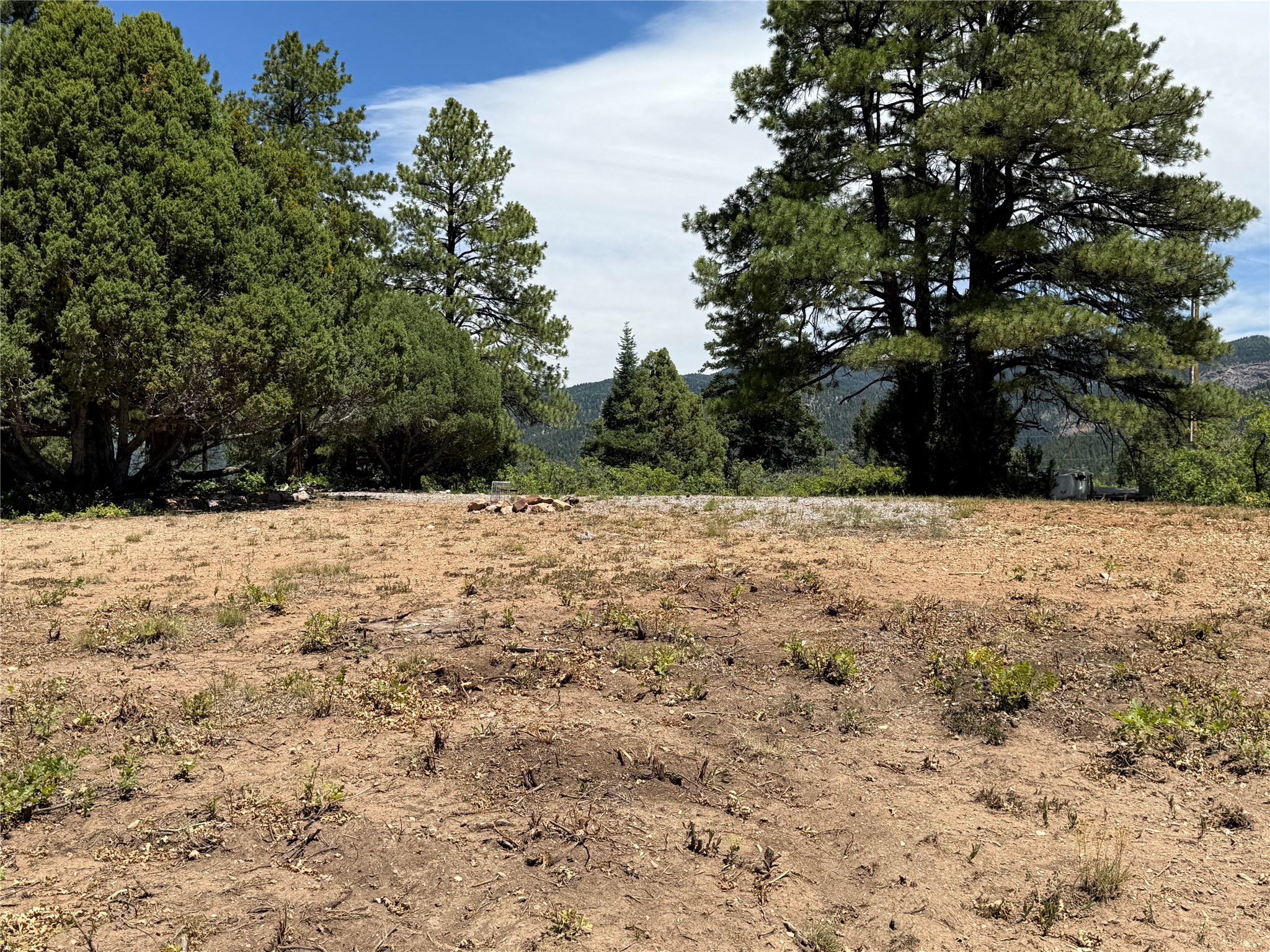 381 Buckman Road Chama, NM 87520 - Photo 20 of 23