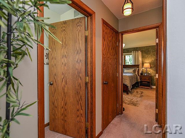 10436 Bacon Road Petersburg, MI 49270 - Photo 46 of 47 31292820-47.JPG