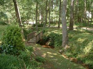 8348 Northbrook III School Road Vale, NC 28168 - Photo 3 of 5 a big yard with lots of green space and trees