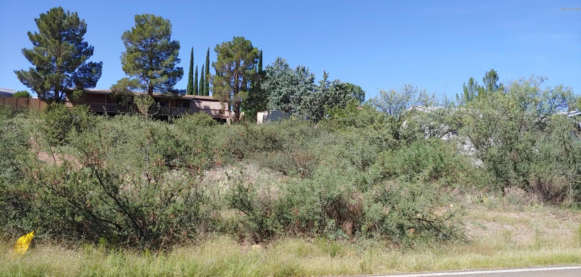 13850 South Spring Lane Spring Valley, AZ 86333 - Photo 2 of 3 Land